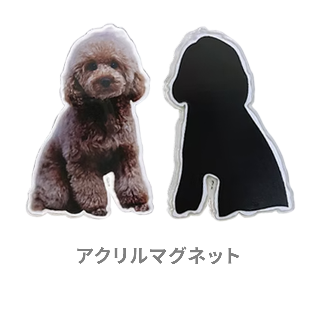 アクリルマグネット